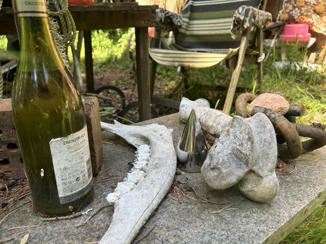 Naturföremål från gården – horn, stenar och gamla ting på ett bord