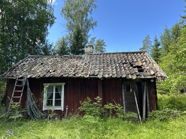 En av gårdens röda stugor med stege lutad mot väggen – väntar på renovering